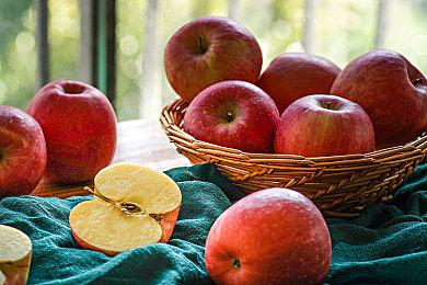 《驱灵者：新伊甸的幽灵》不是3A而是2A游戏 续作开发待定