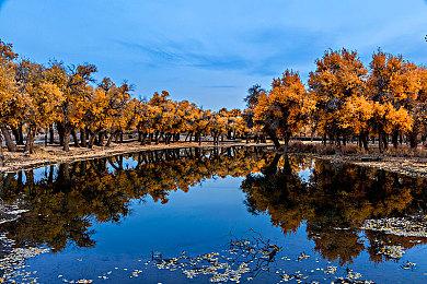 《inZOI》精美捏脸图赏 还原男女明星和其他名人
